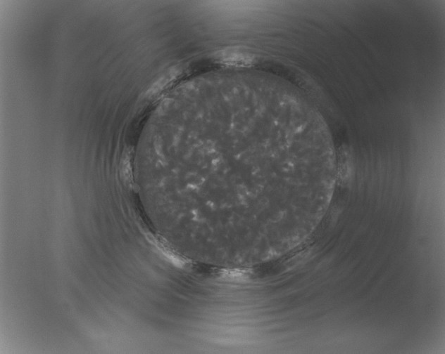 X0000076060573200610201951