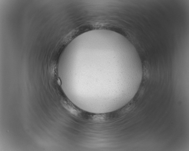 X0000076060574200610201951