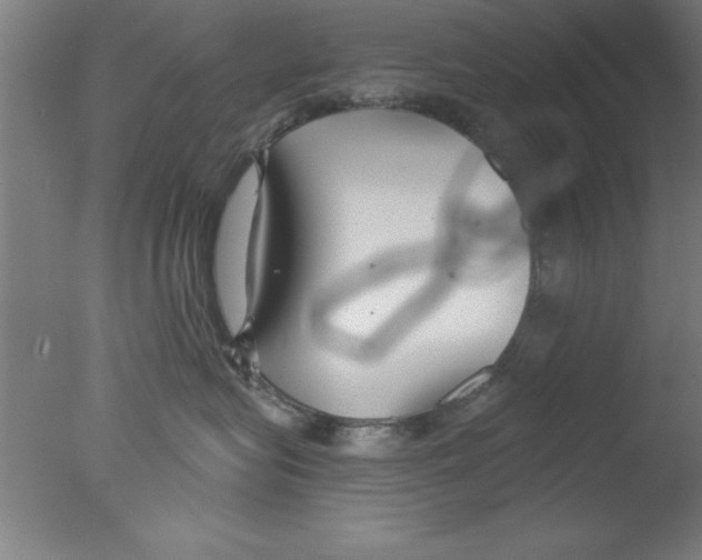 X0000076060575200610201951