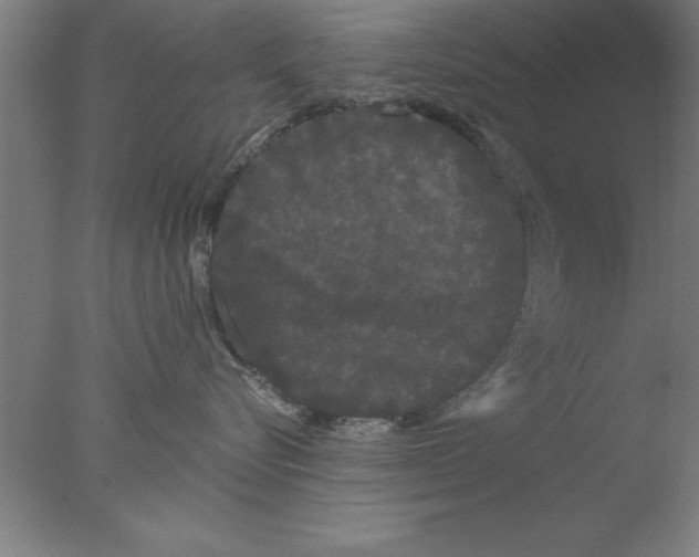 X0000076060576200610201951