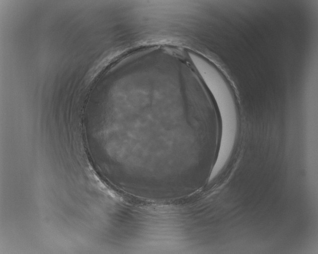 X0000076060577200610201950