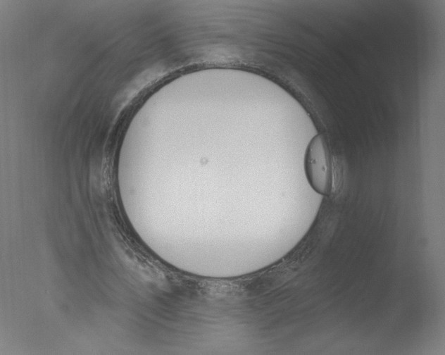 X0000076060579200610201950