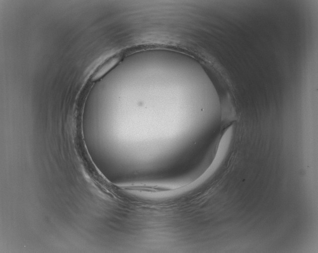 X0000076060580200610201950