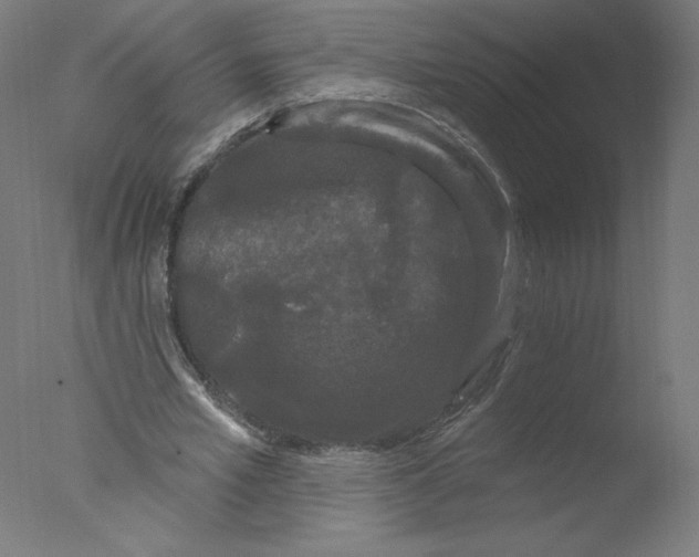 X0000076060581200610201950