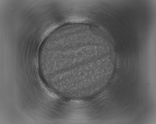 X0000076060582200610201950