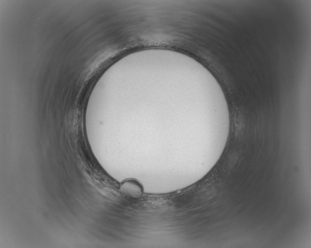 X0000076060583200610201950