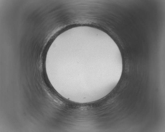 X0000076060584200610201950