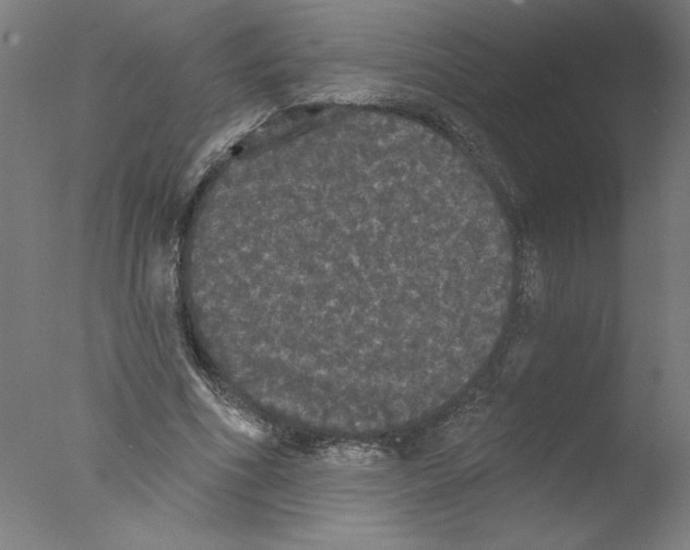 X0000076060586200610201950