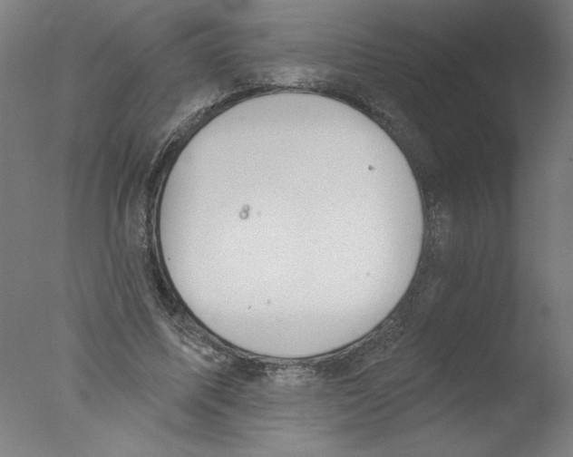 X0000076060587200610201950