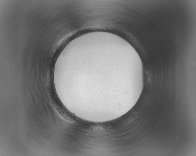 X0000076060588200610201950