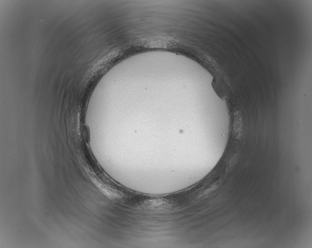 X0000076060589200610201950