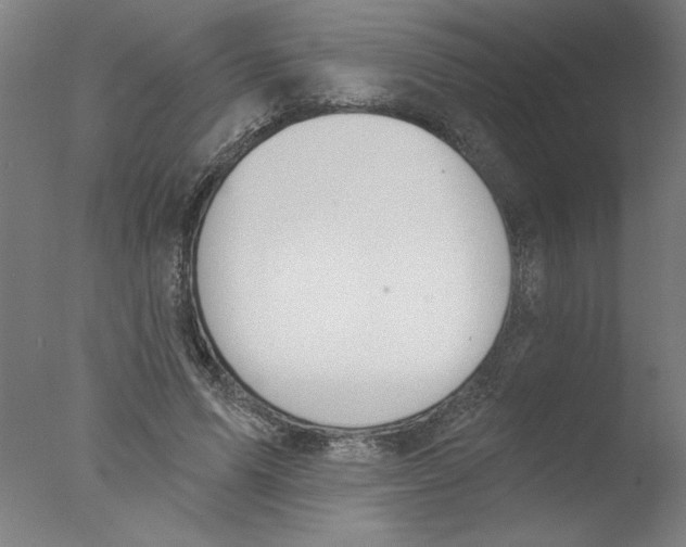 X0000076060591200610201950