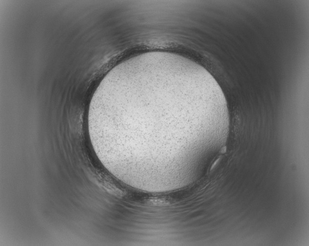 X0000076060596200610201950