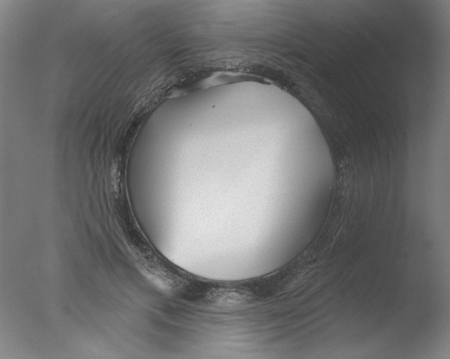 X0000076060597200610201950