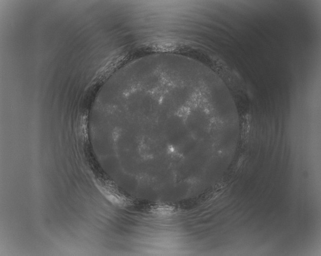 X0000076060598200610201950