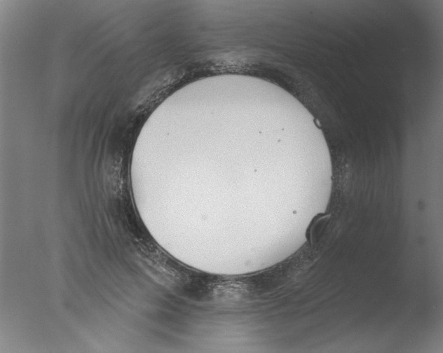 X0000076060599200610201950