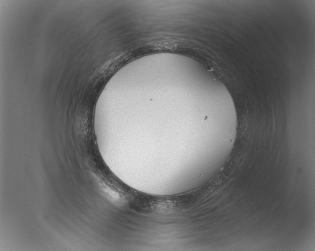 X0000076060600200610201950