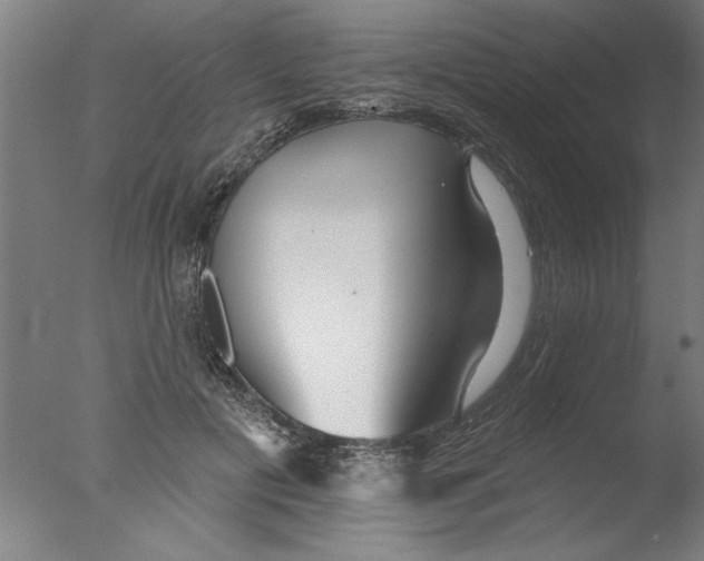 X0000076060601200610201950