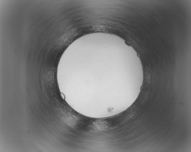 X0000076060603200610201950