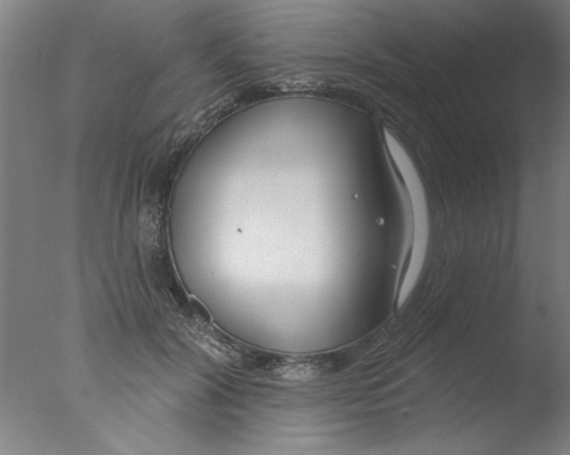 X0000076060604200610201950