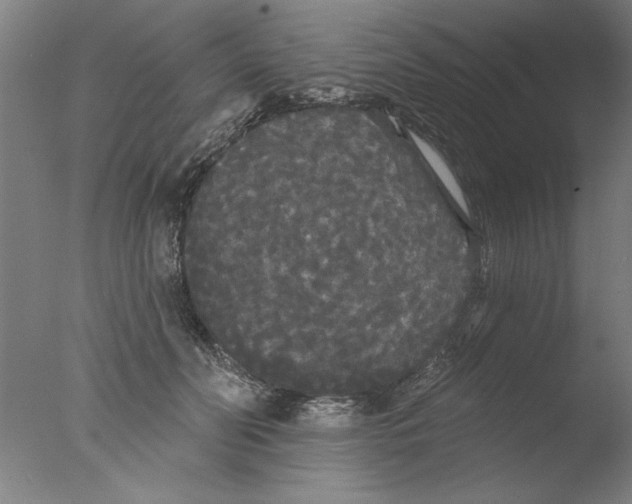 X0000076060606200610201950