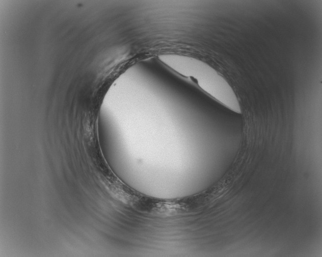 X0000076060607200610201950