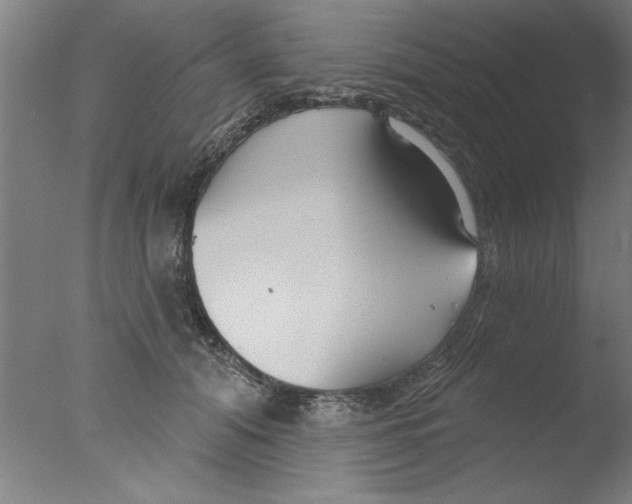 X0000076060608200610201950