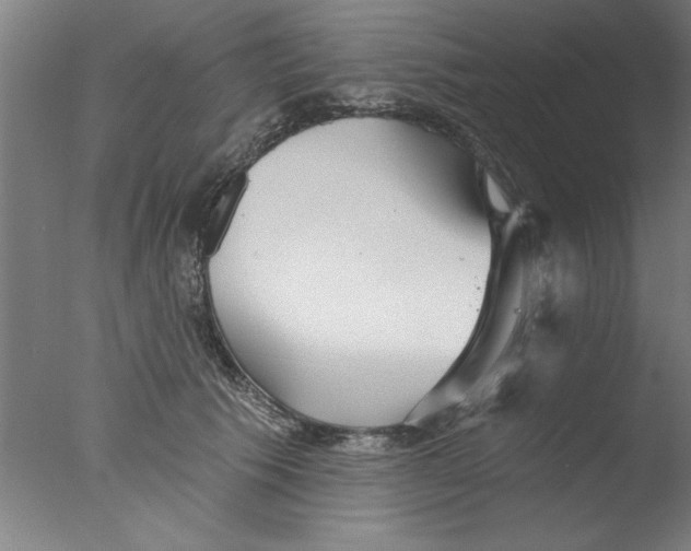 X0000076060609200610201950