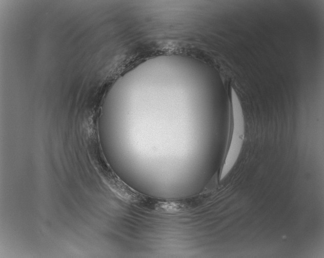 X0000076060611200610201950