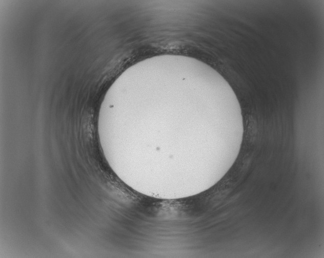 X0000076060612200610201950