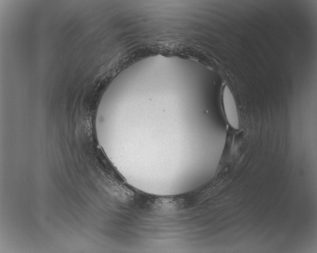 X0000076060613200610201950