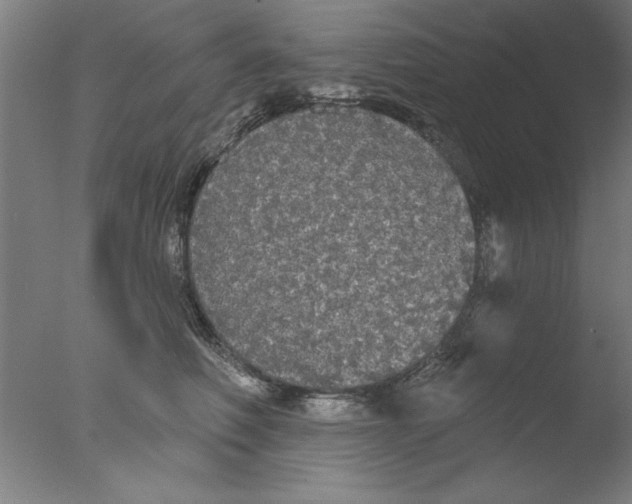 X0000076060614200610201950