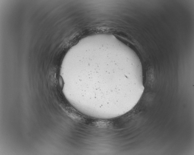 X0000076060615200610201950