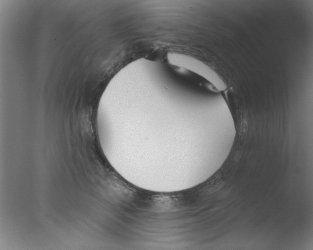 X0000076060616200610201950