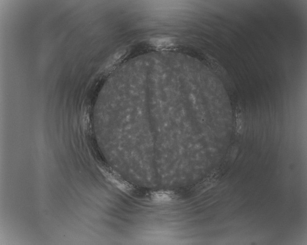 X0000076060618200610201950