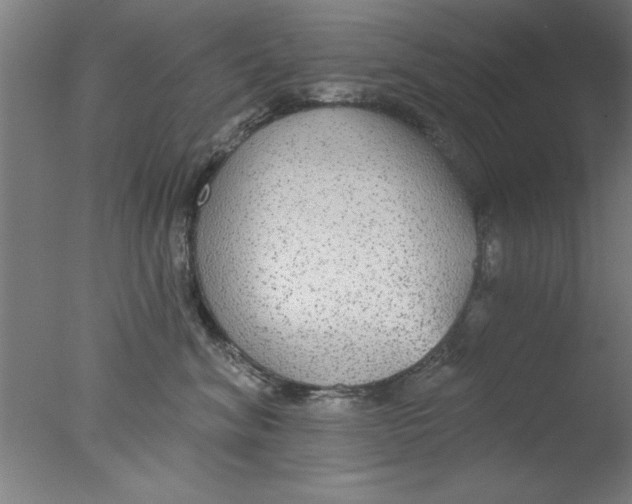 X0000076060620200610201950