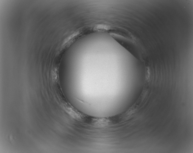 X0000076060621200610201950