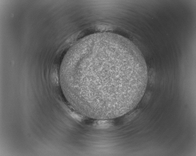 X0000076060622200610201950