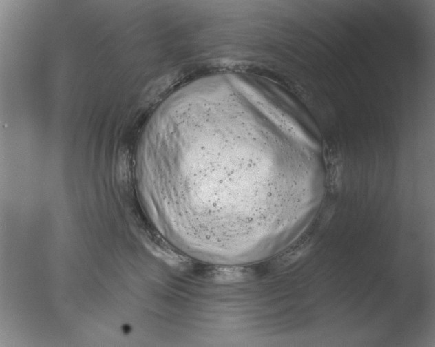 X0000076060623200610201950