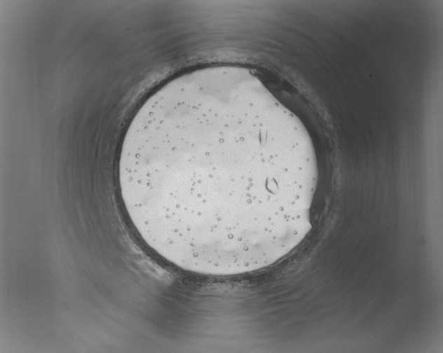 X0000076060625200610201949