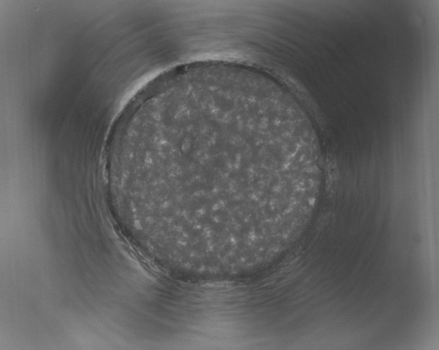 X0000076060628200610201949