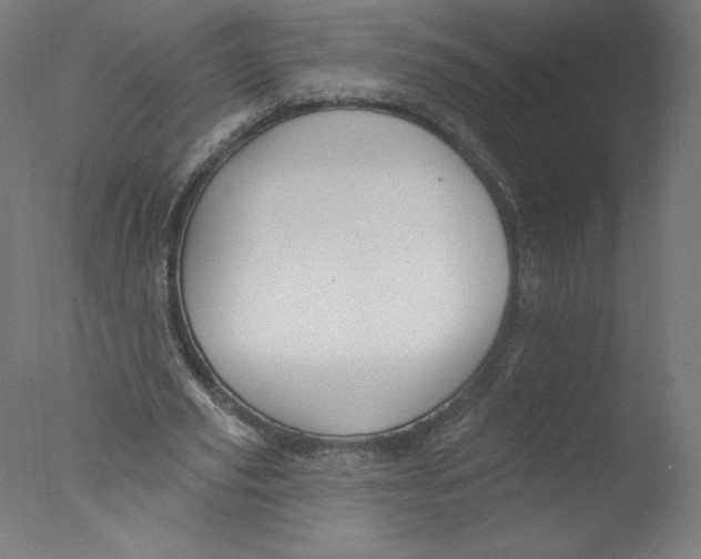 X0000076060629200610201949