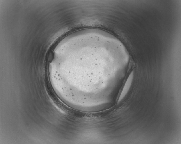 X0000076060630200610201949