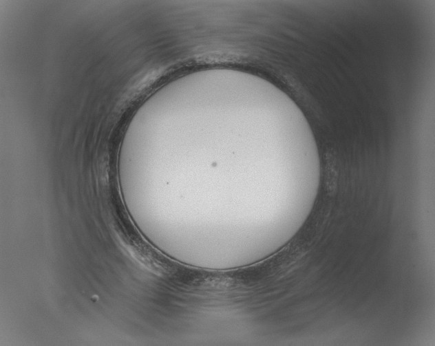 X0000076060631200610201949