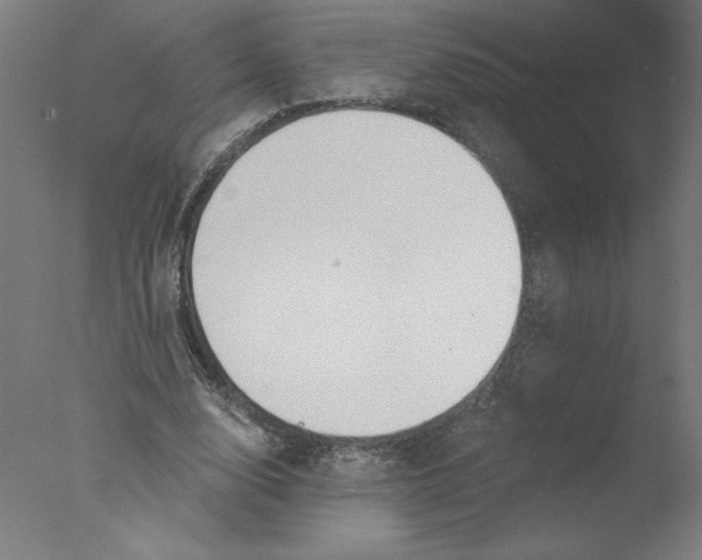 X0000076060632200610201949