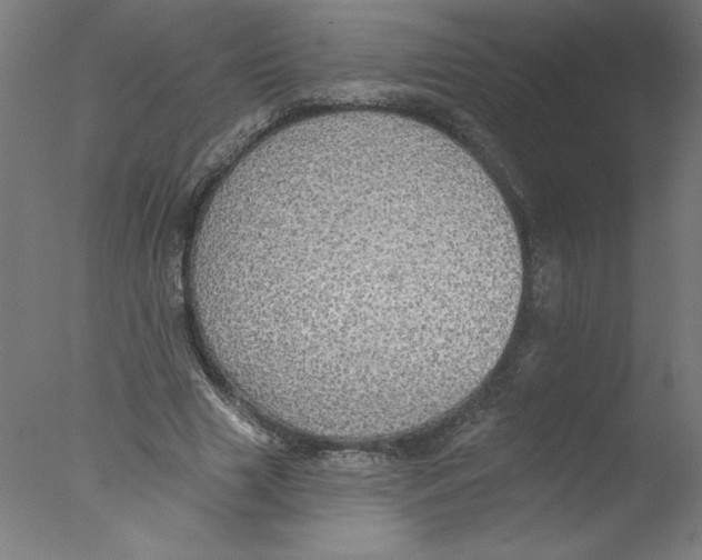 X0000076060633200610201949