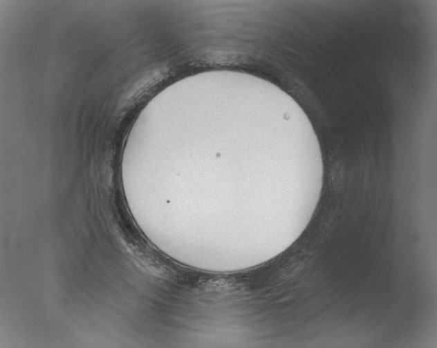 X0000076060635200610201949