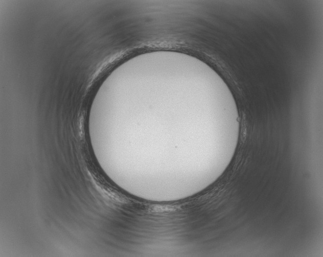 X0000076060636200610201949