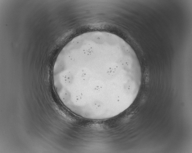 X0000076060637200610201949