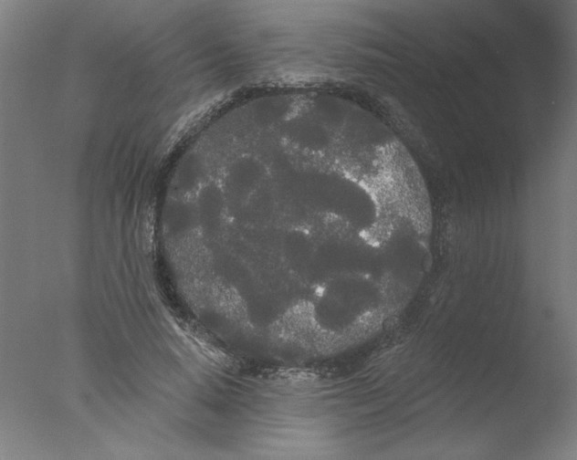 X0000076060640200610201949